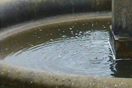 fountain (uk) . photo by miriam king